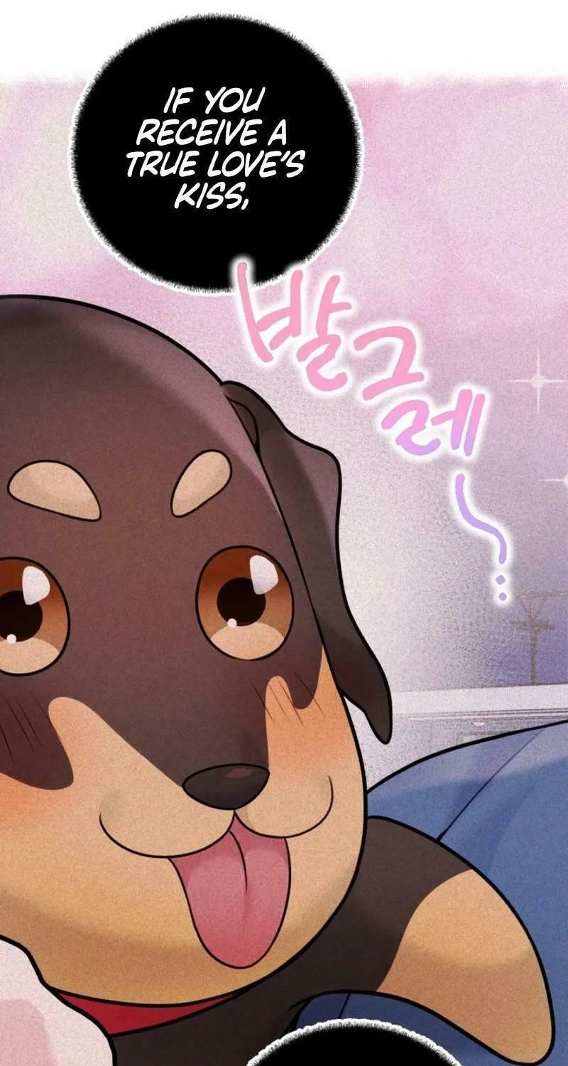 My Masculine Puppy Chapter 14 page 99 - 