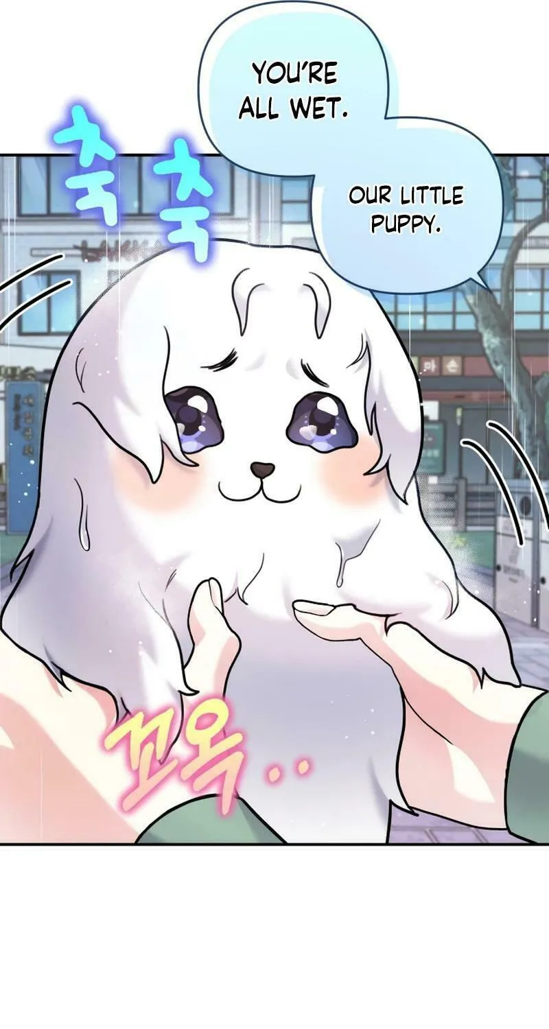My Masculine Puppy Chapter 16 page 11 - 