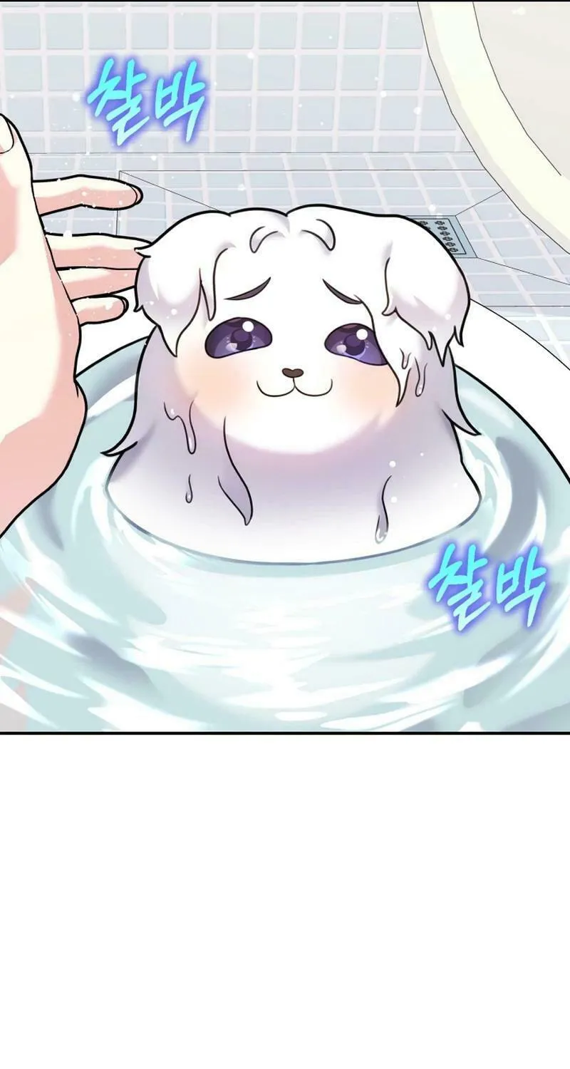 My Masculine Puppy Chapter 16 page 21 - 