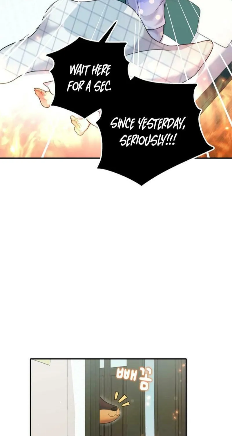 My Masculine Puppy Chapter 16 page 75 - 