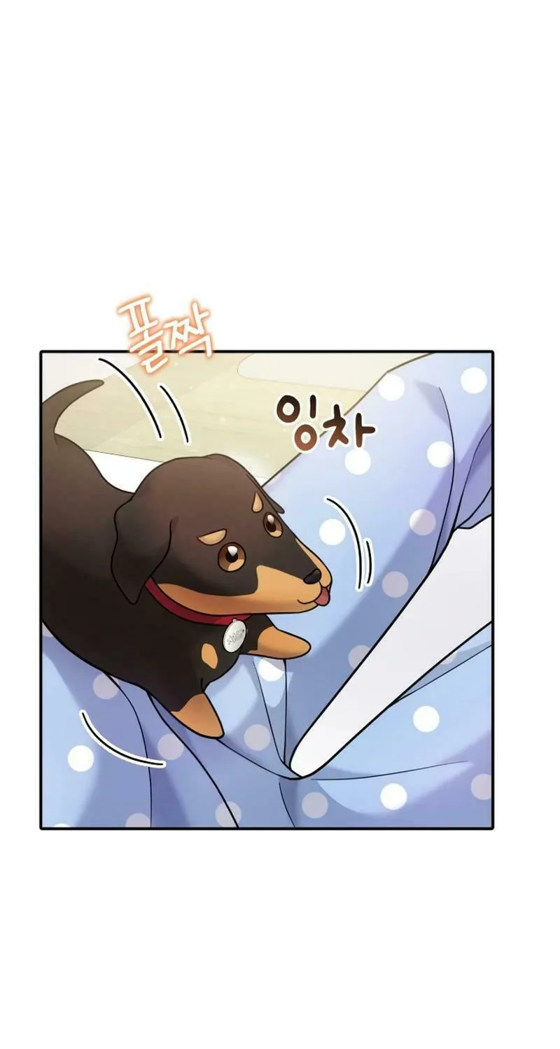 My Masculine Puppy Chapter 16 page 79 - 