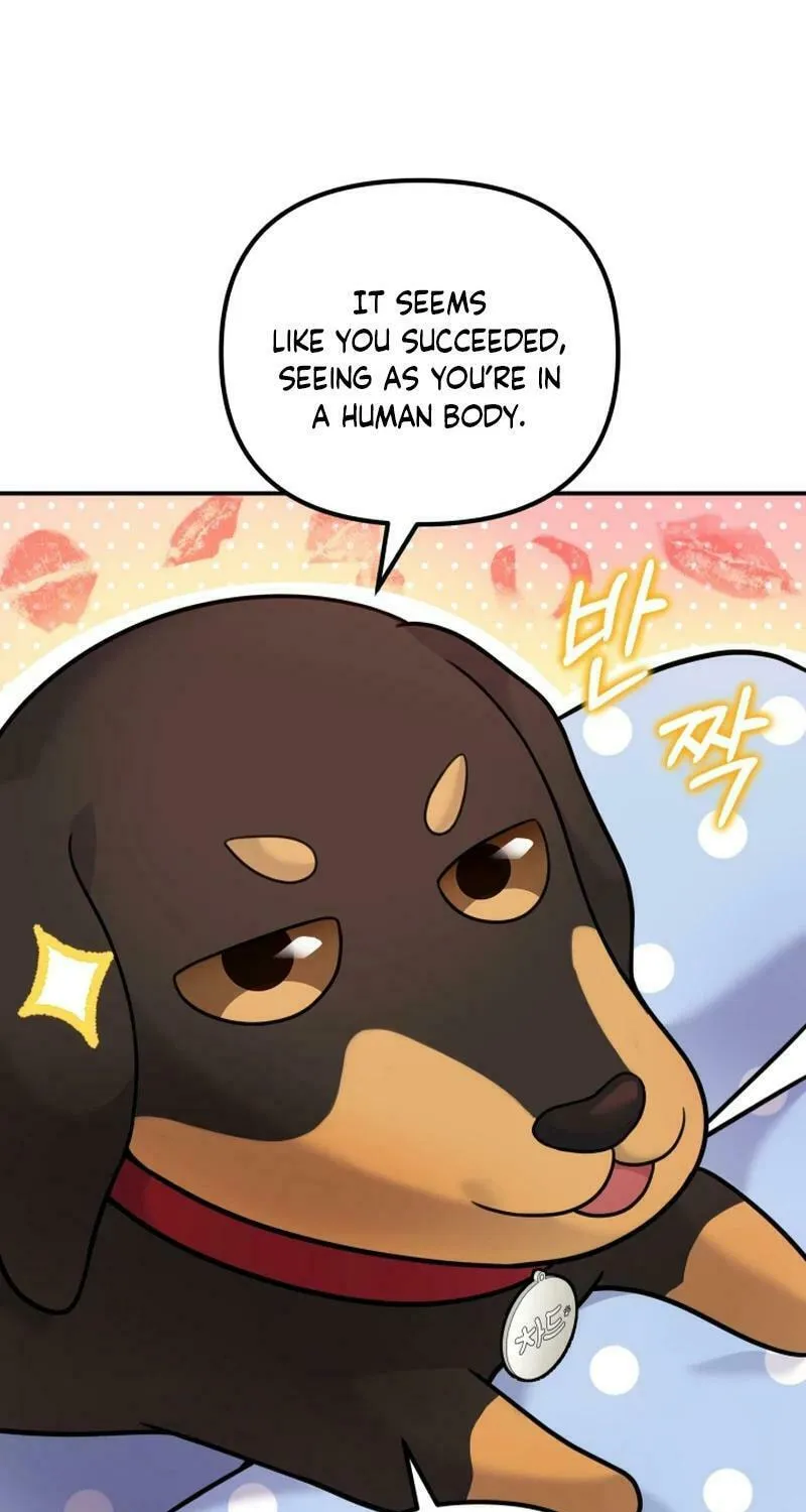 My Masculine Puppy Chapter 16 page 80 - 