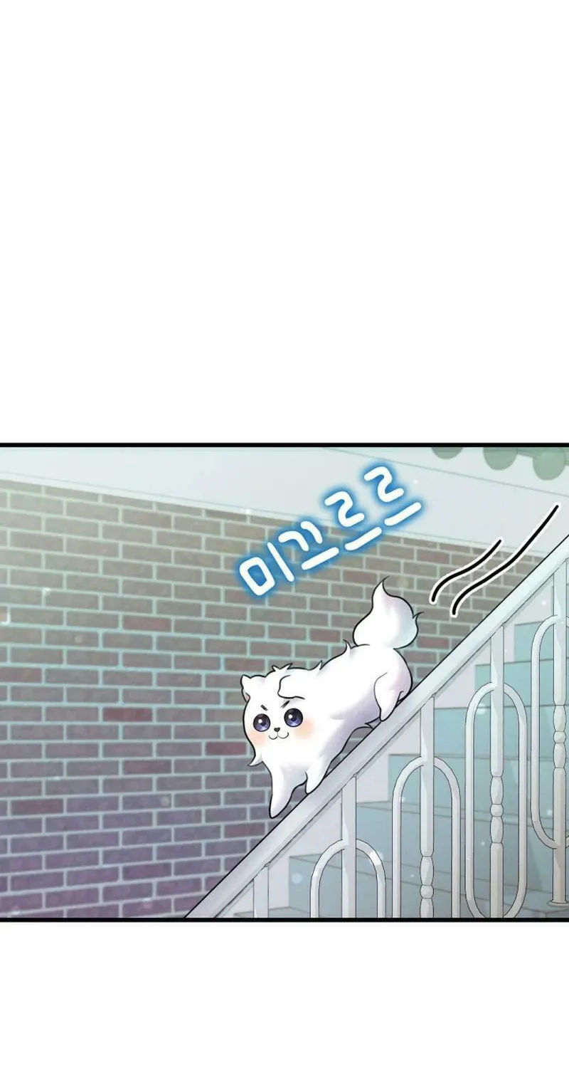 My Masculine Puppy Chapter 18 page 8 - 