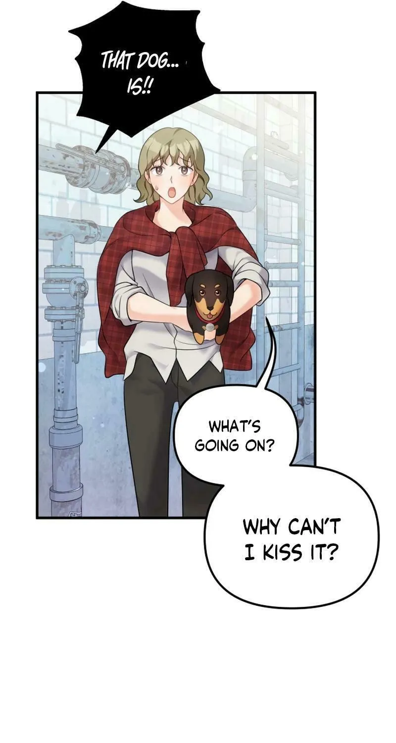 My Masculine Puppy Chapter 18 page 91 - 