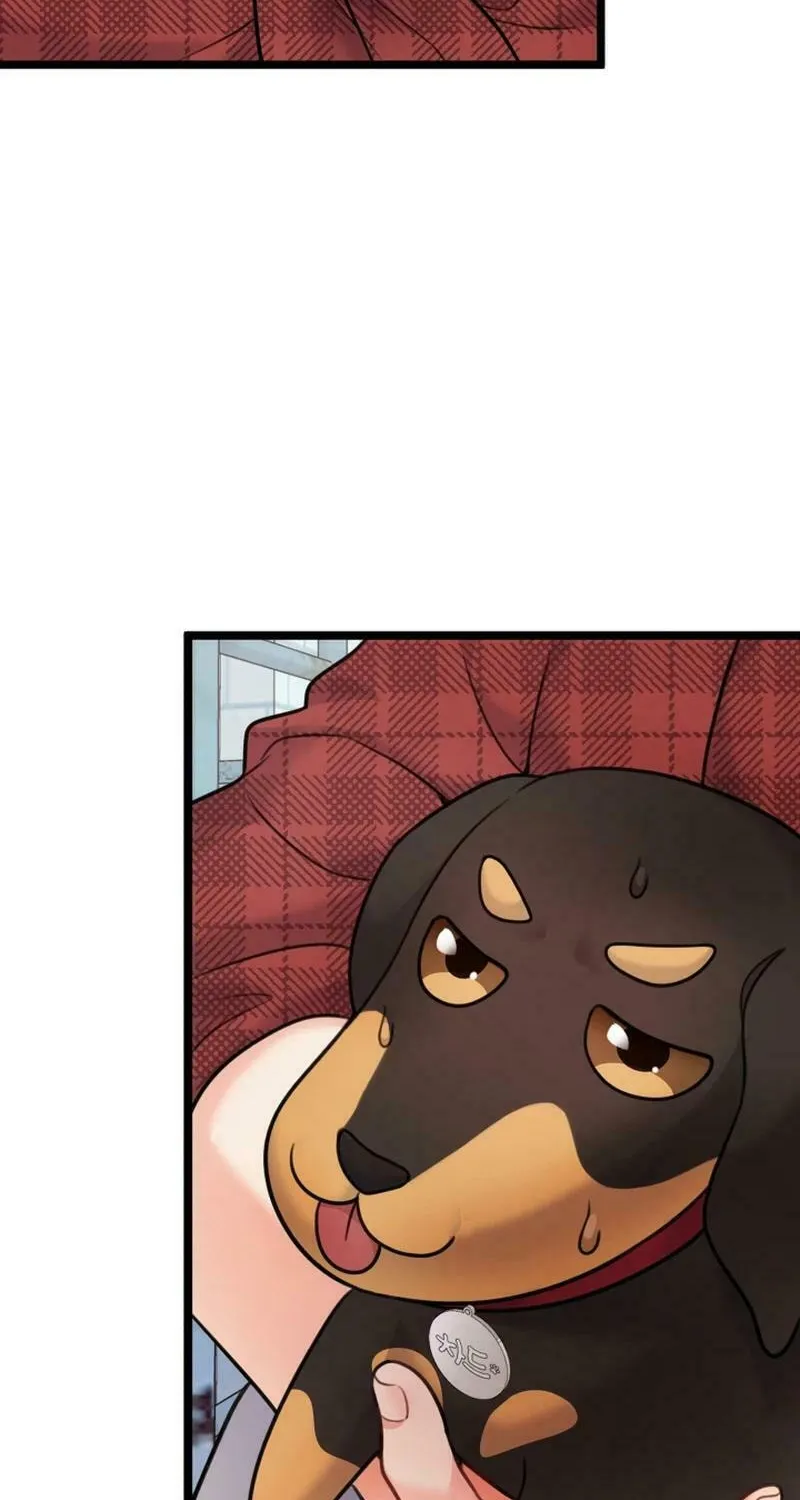 My Masculine Puppy Chapter 18 page 94 - 