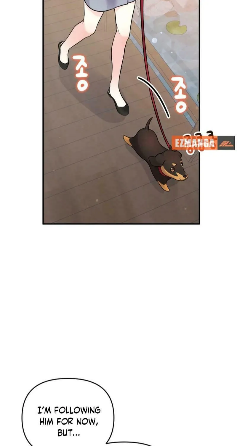 My Masculine Puppy Chapter 19 page 54 - 