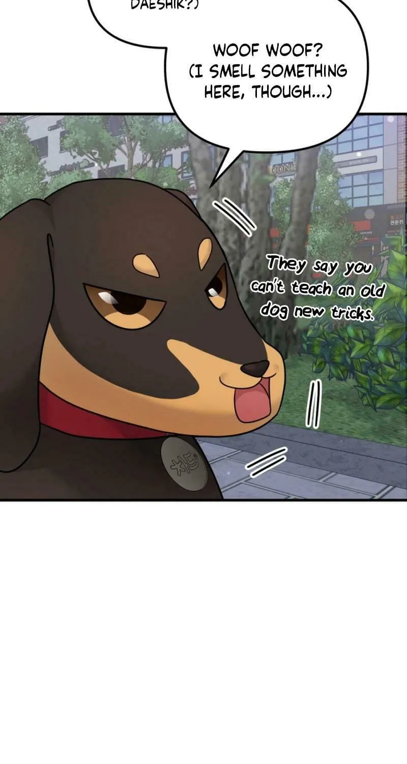My Masculine Puppy Chapter 19 page 60 - 