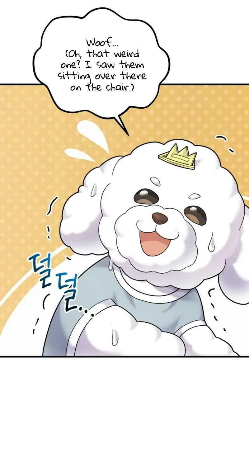 My Masculine Puppy Chapter 19 page 61 - 