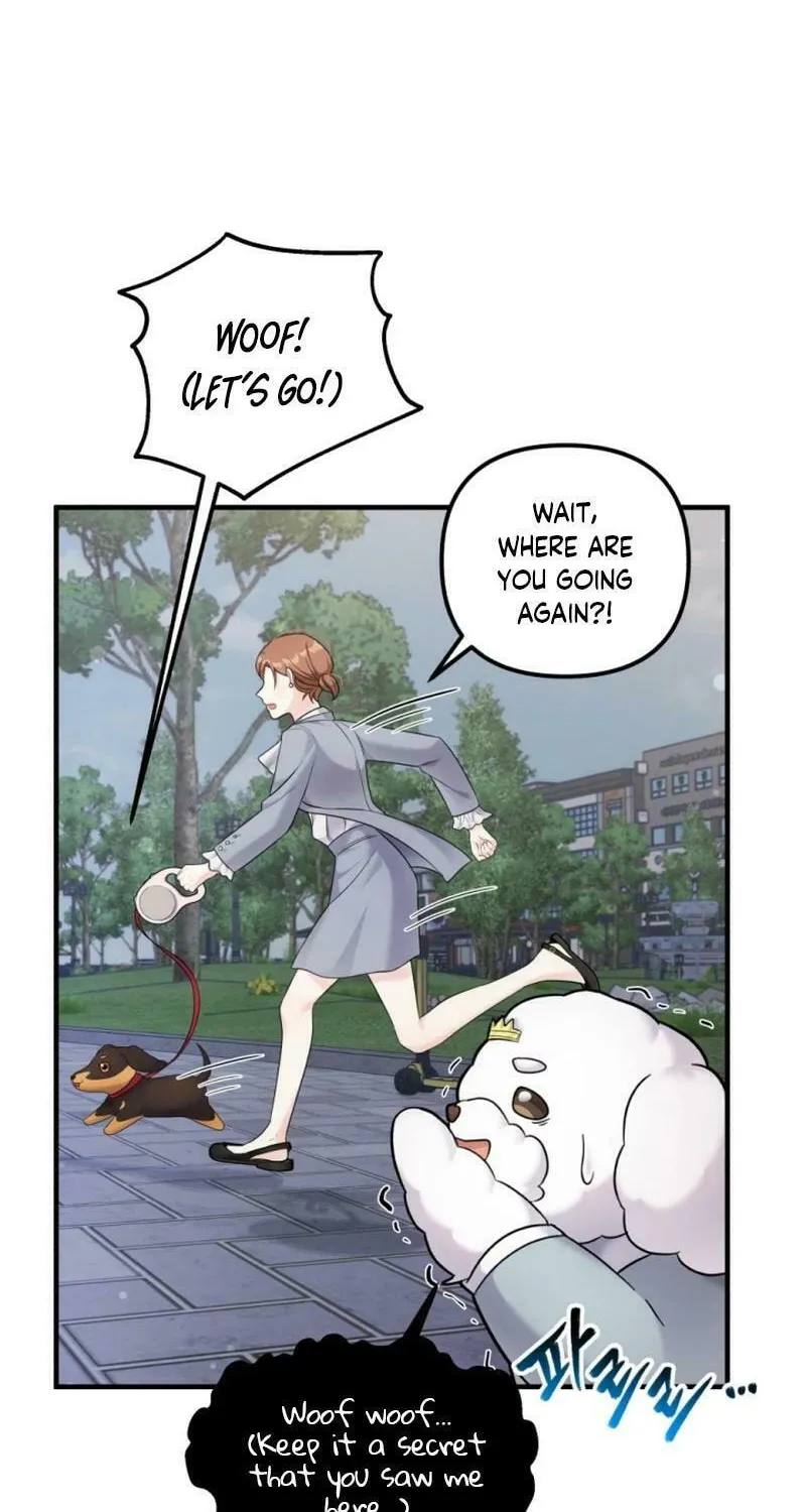 My Masculine Puppy Chapter 19 page 62 - 