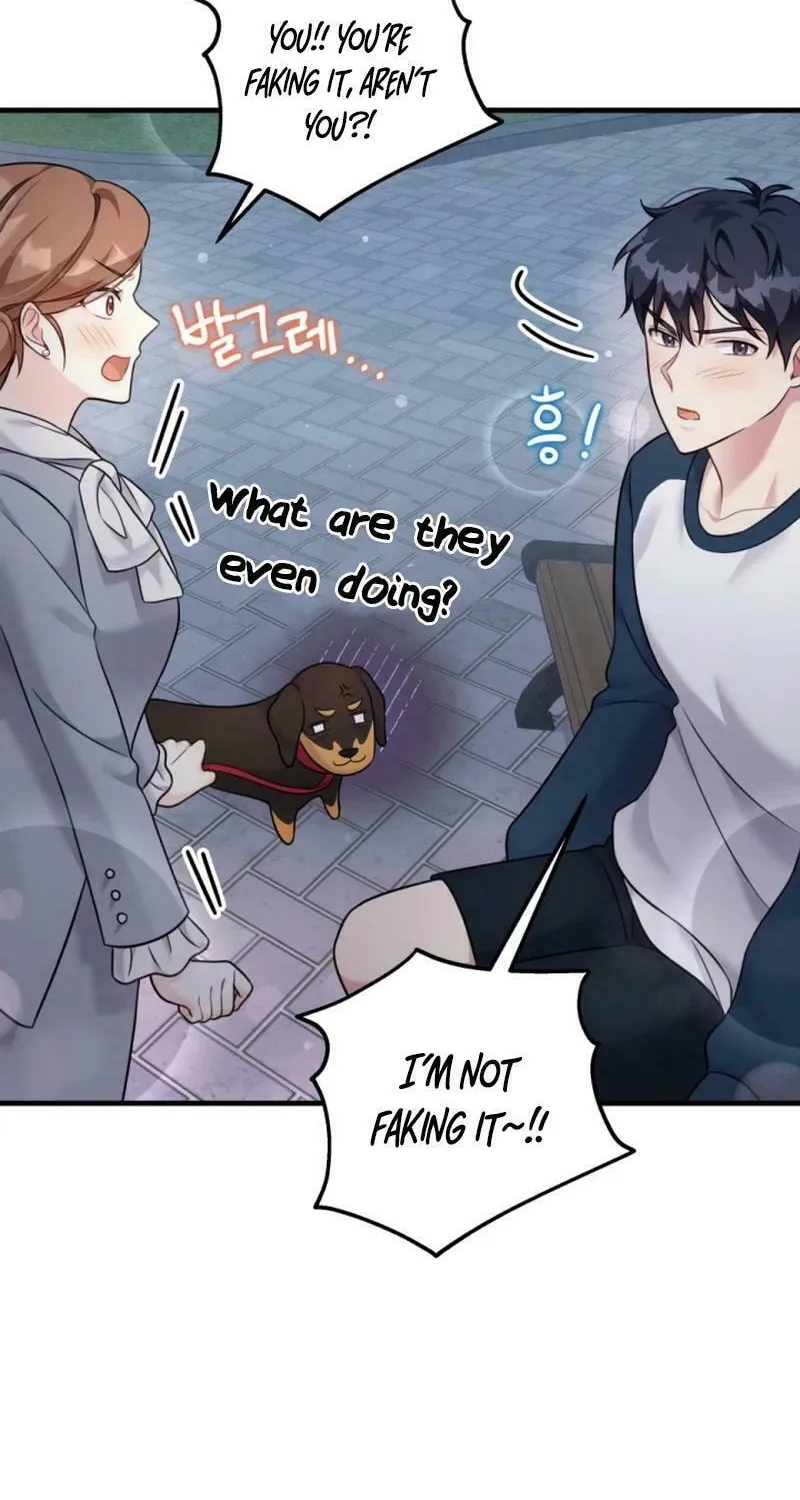 My Masculine Puppy Chapter 19 page 68 - 