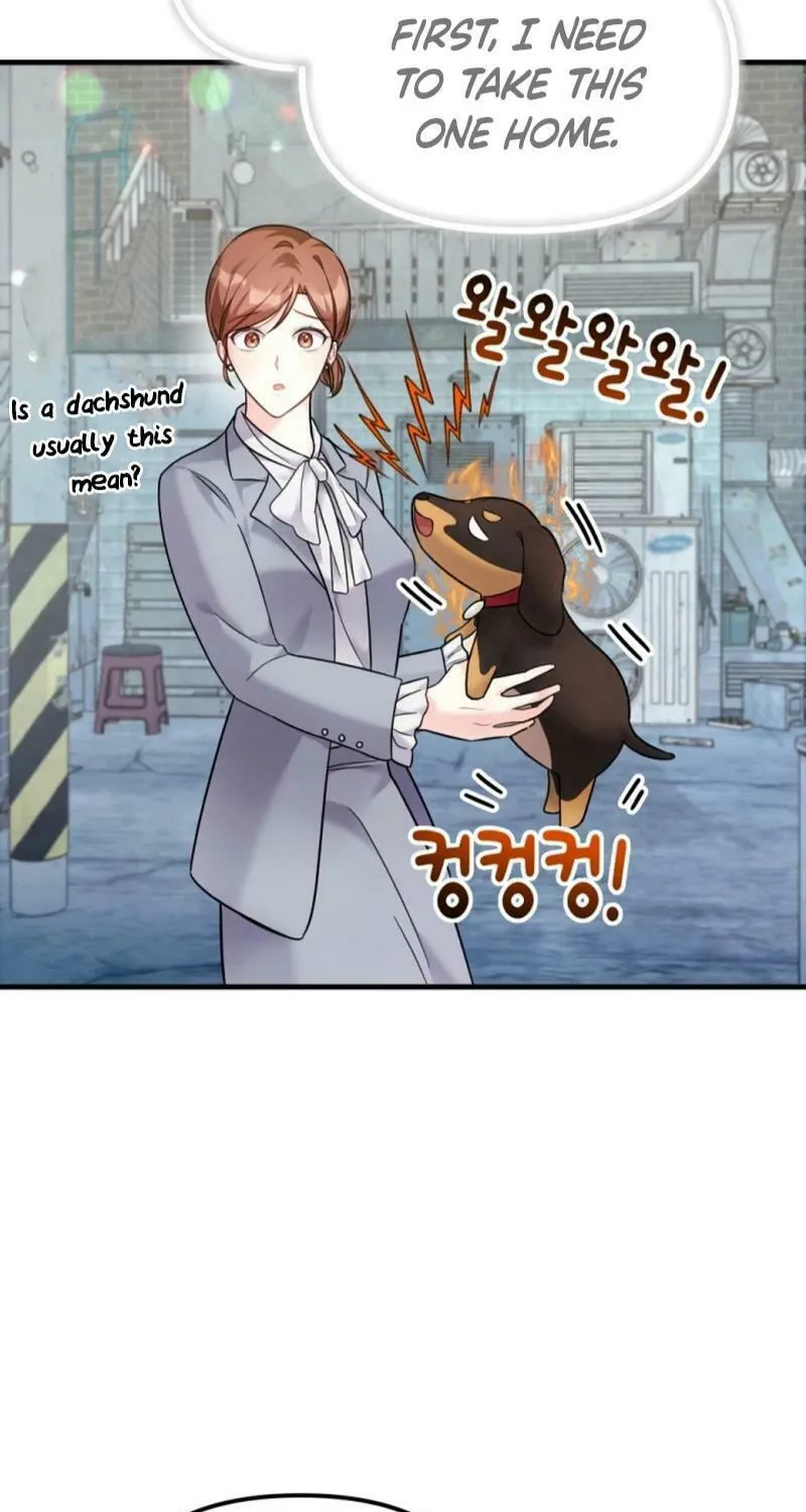 My Masculine Puppy Chapter 19 page 9 - 