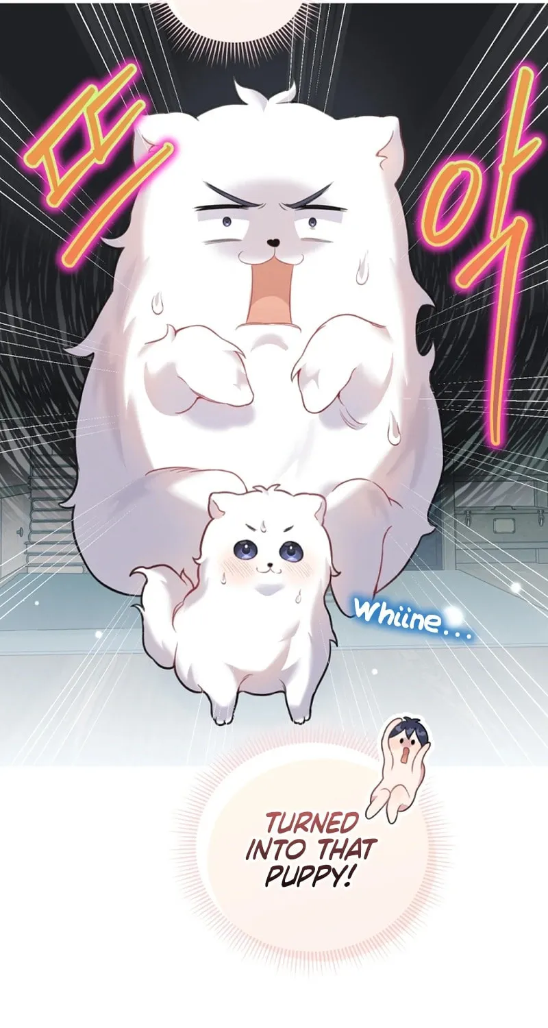 My Masculine Puppy Chapter 2 page 102 - 