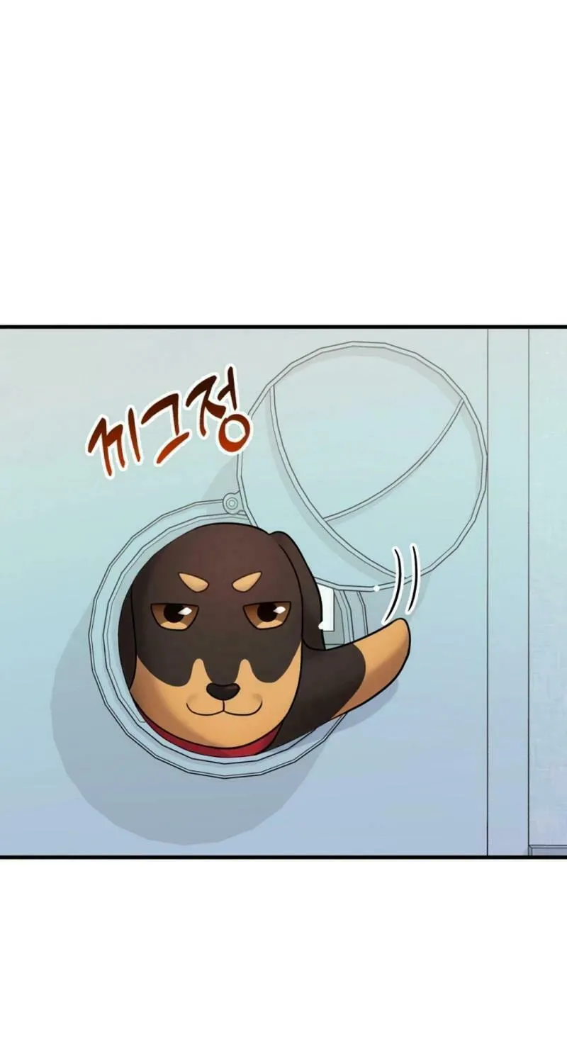 My Masculine Puppy Chapter 20 page 25 - 