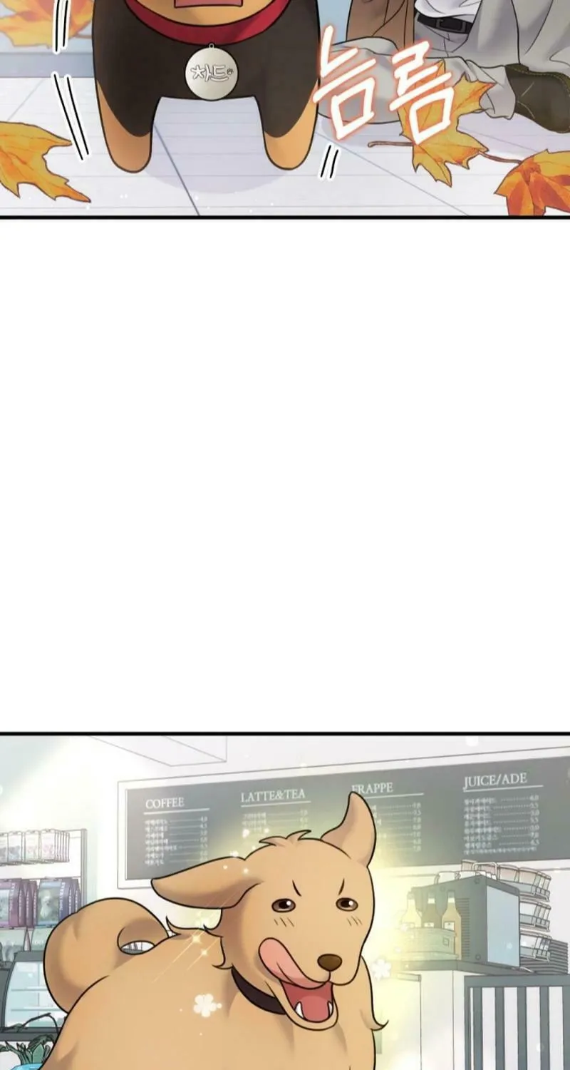 My Masculine Puppy Chapter 20 page 35 - 