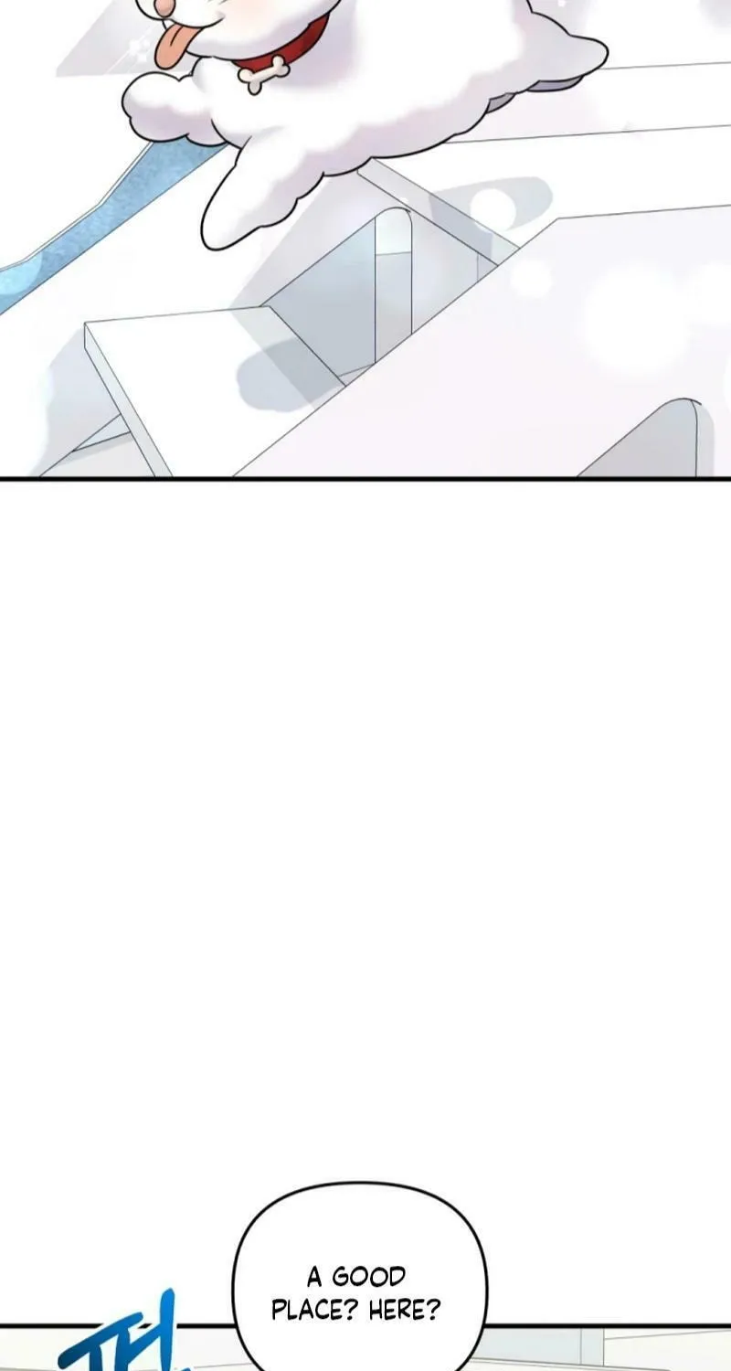 My Masculine Puppy Chapter 20 page 37 - 