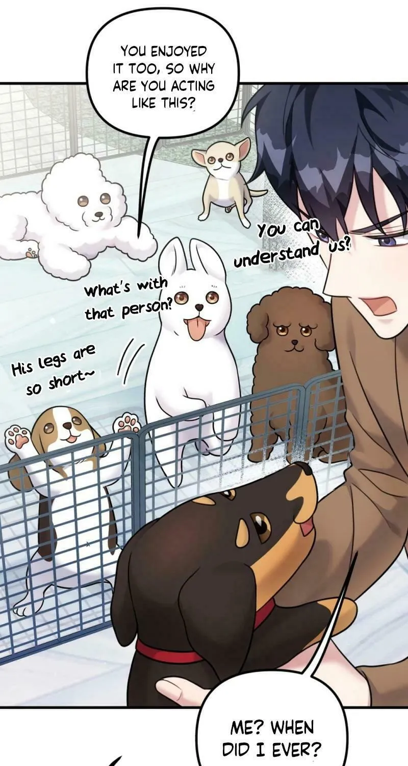 My Masculine Puppy Chapter 20 page 47 - 