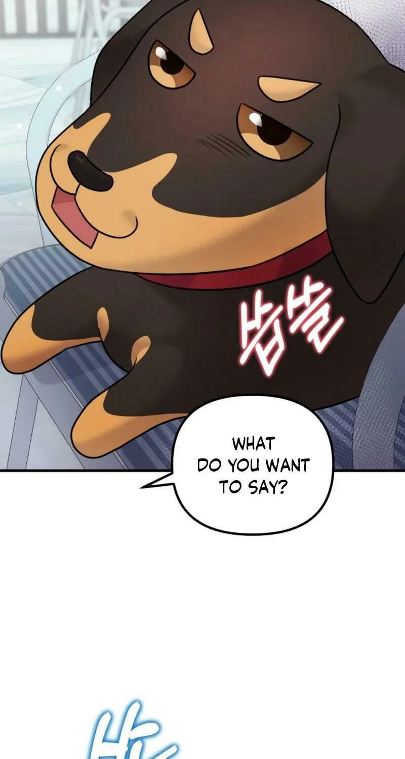 My Masculine Puppy Chapter 20 page 82 - 