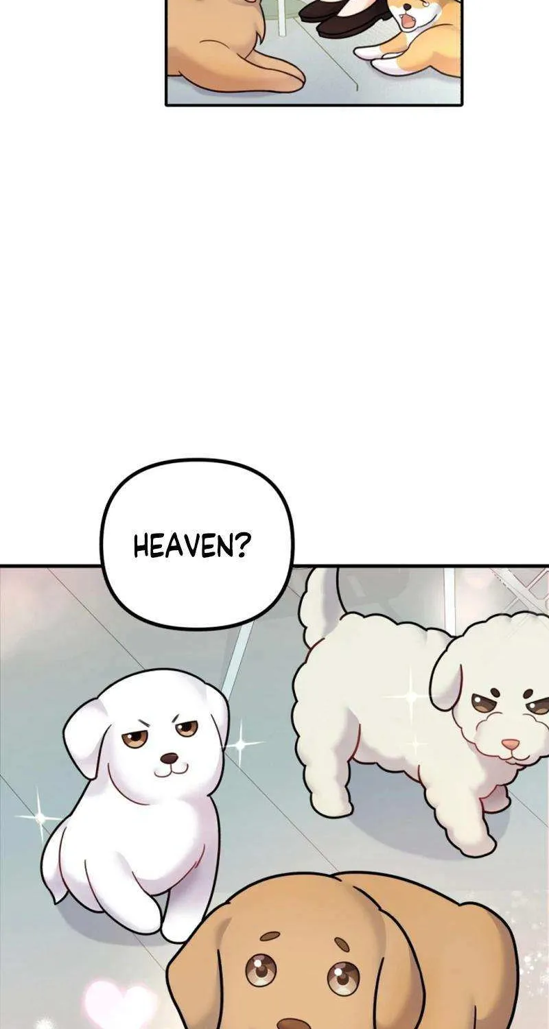 My Masculine Puppy Chapter 22 page 33 - 