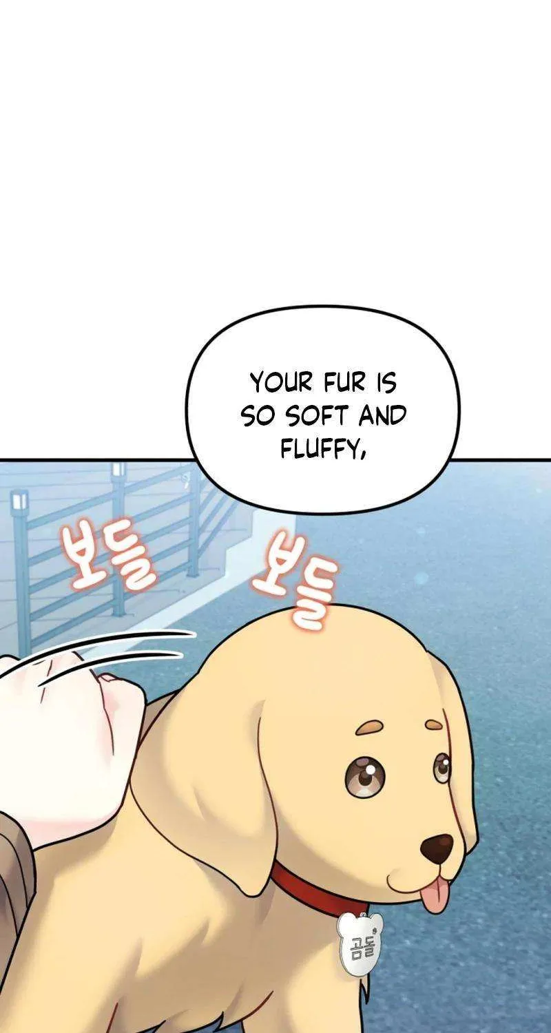 My Masculine Puppy Chapter 22 page 43 - 