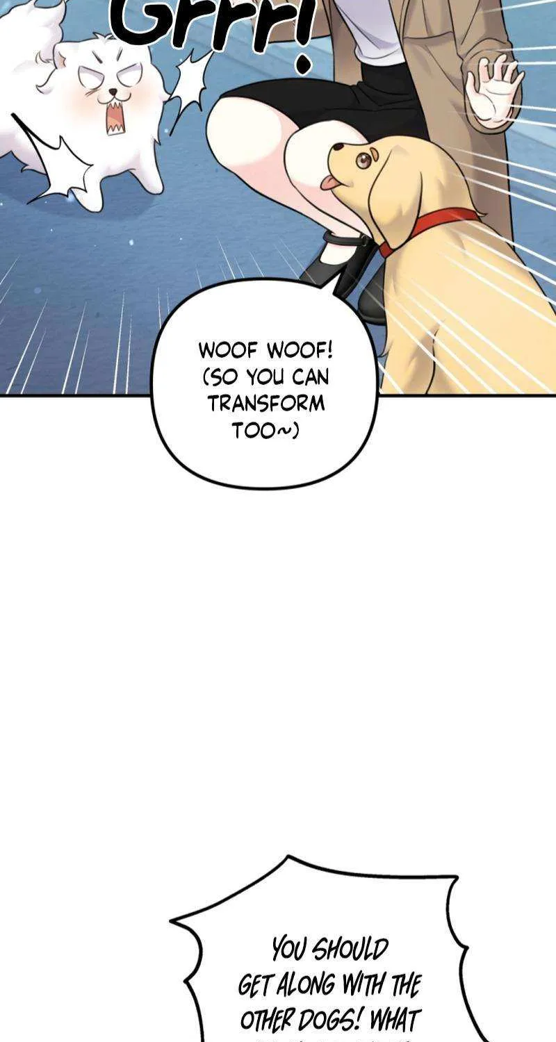 My Masculine Puppy Chapter 23 page 25 - 