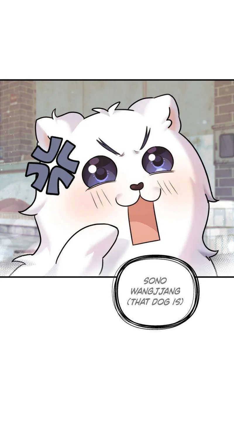 My Masculine Puppy Chapter 23 page 70 - 