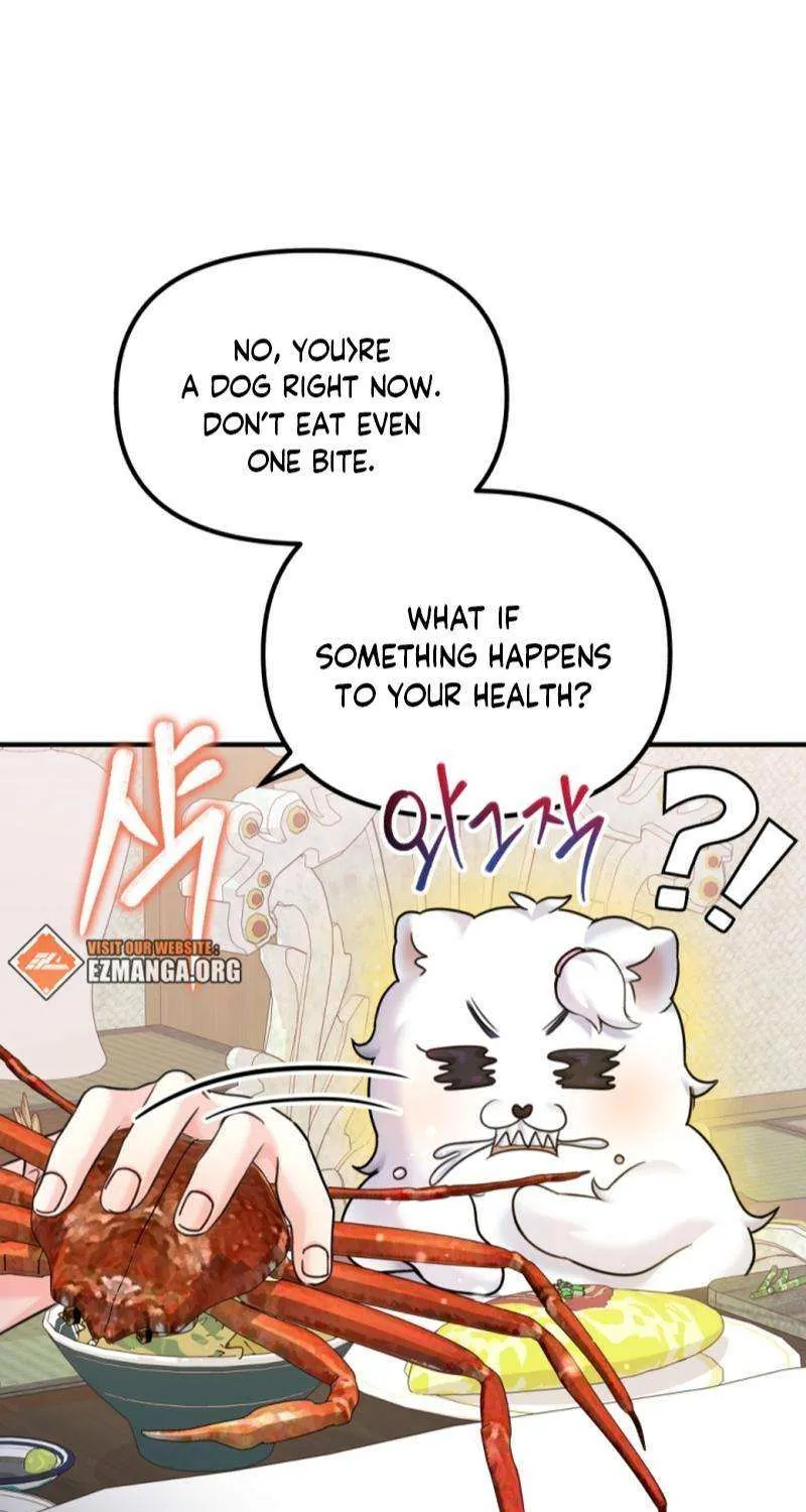 My Masculine Puppy Chapter 23 page 79 - 