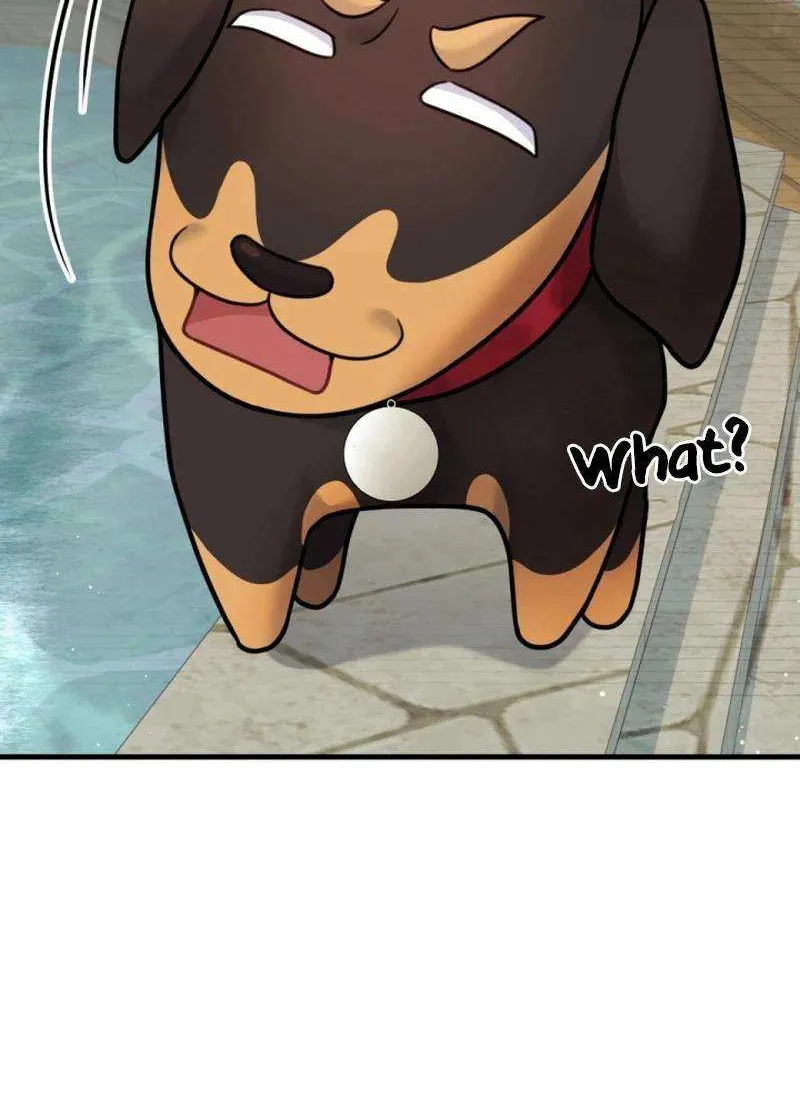 My Masculine Puppy Chapter 24 page 48 - 