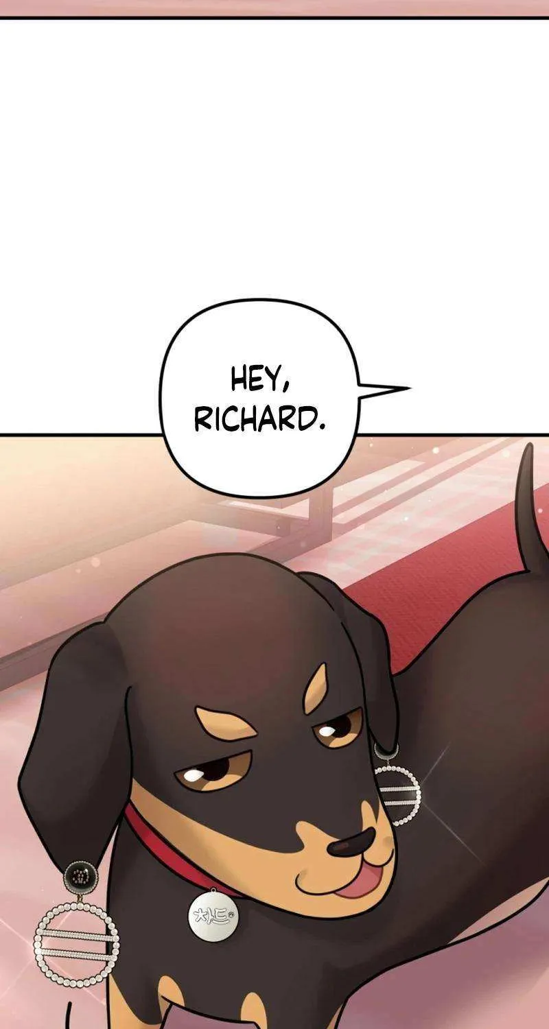 My Masculine Puppy Chapter 24 page 70 - 