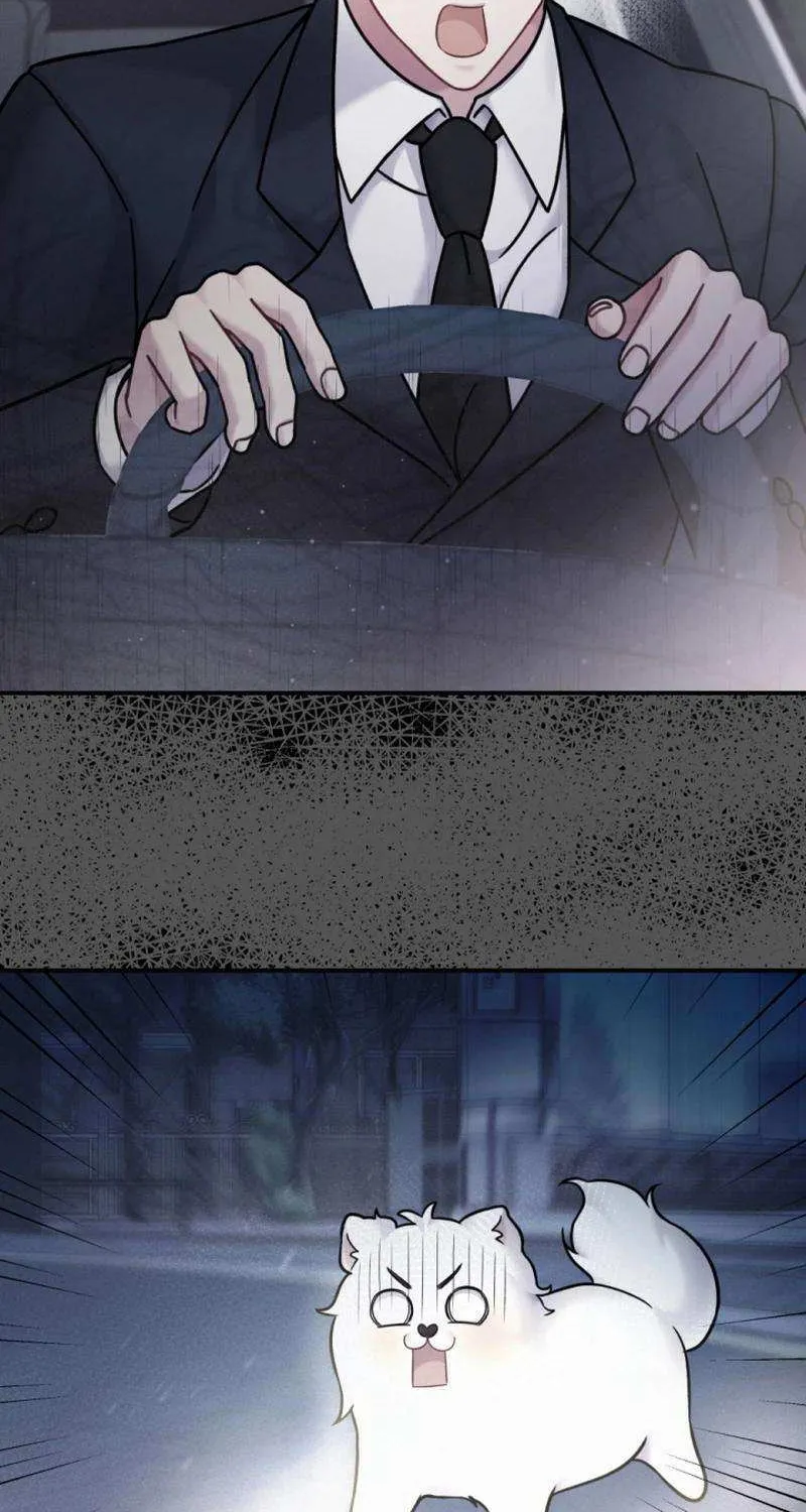 My Masculine Puppy Chapter 26 page 8 - 