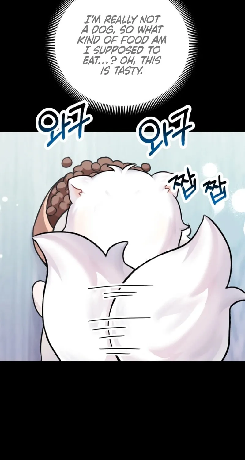 My Masculine Puppy Chapter 3 page 105 - 