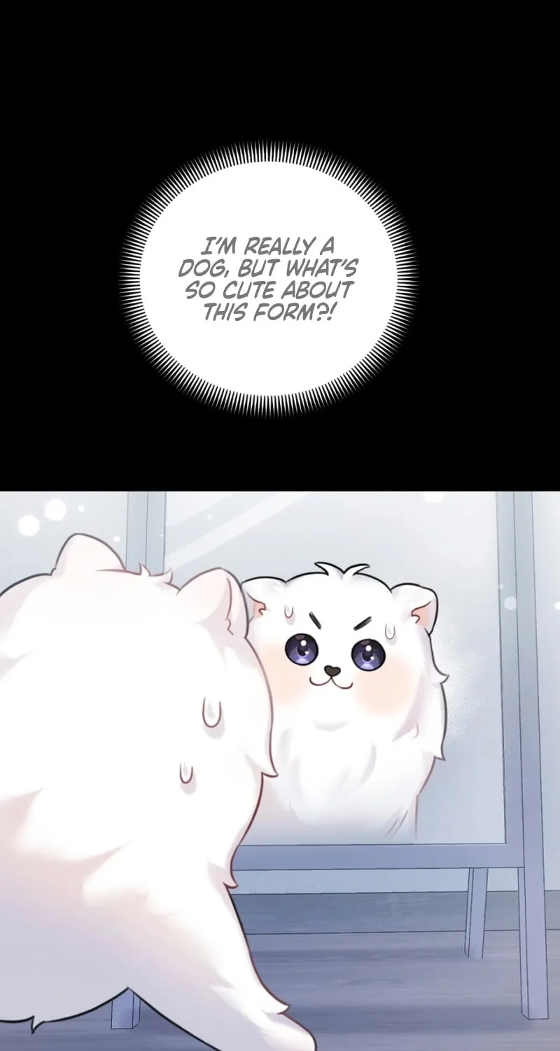 My Masculine Puppy Chapter 3 page 98 - 
