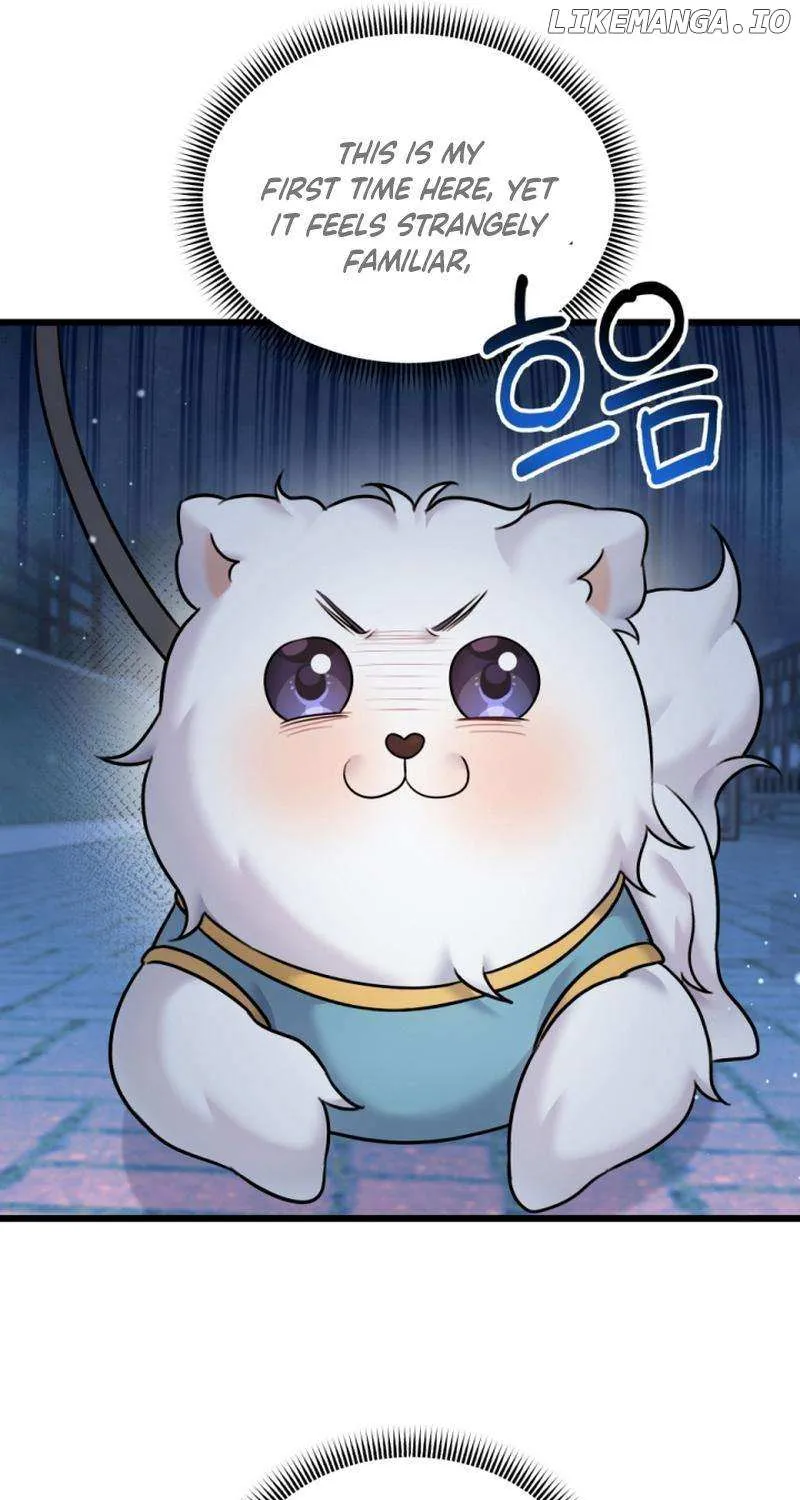 My Masculine Puppy Chapter 30 page 60 - 