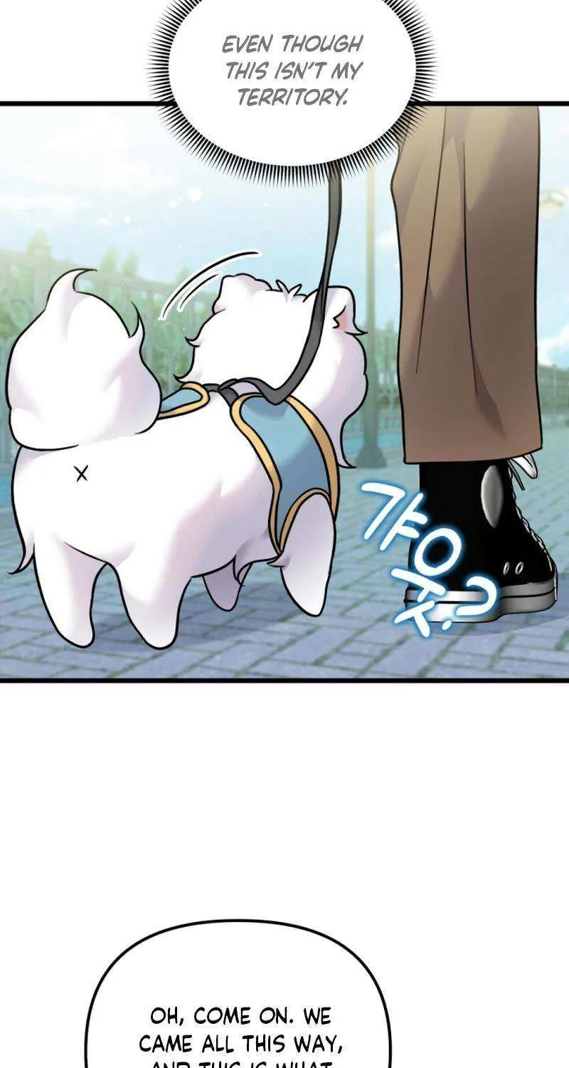 My Masculine Puppy Chapter 30 page 61 - 