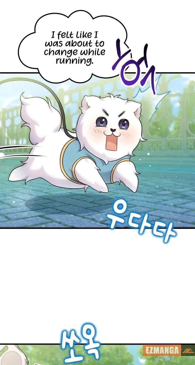 My Masculine Puppy Chapter 31 page 68 - 