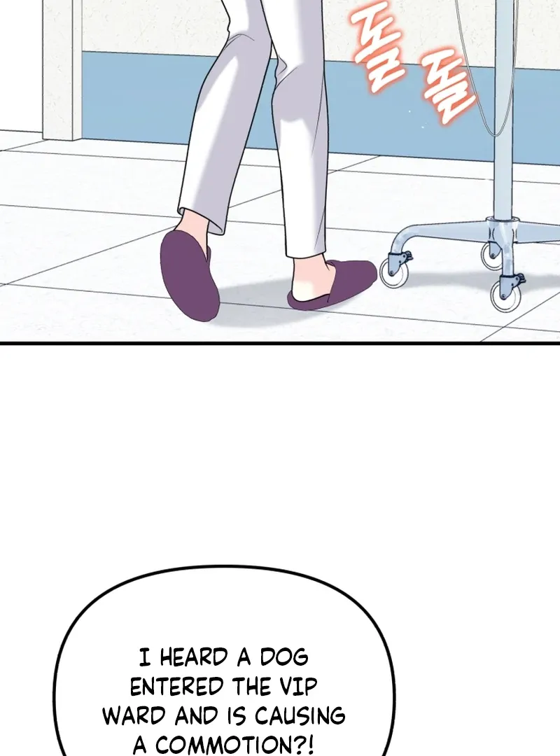 My Masculine Puppy Chapter 43 page 50 - 