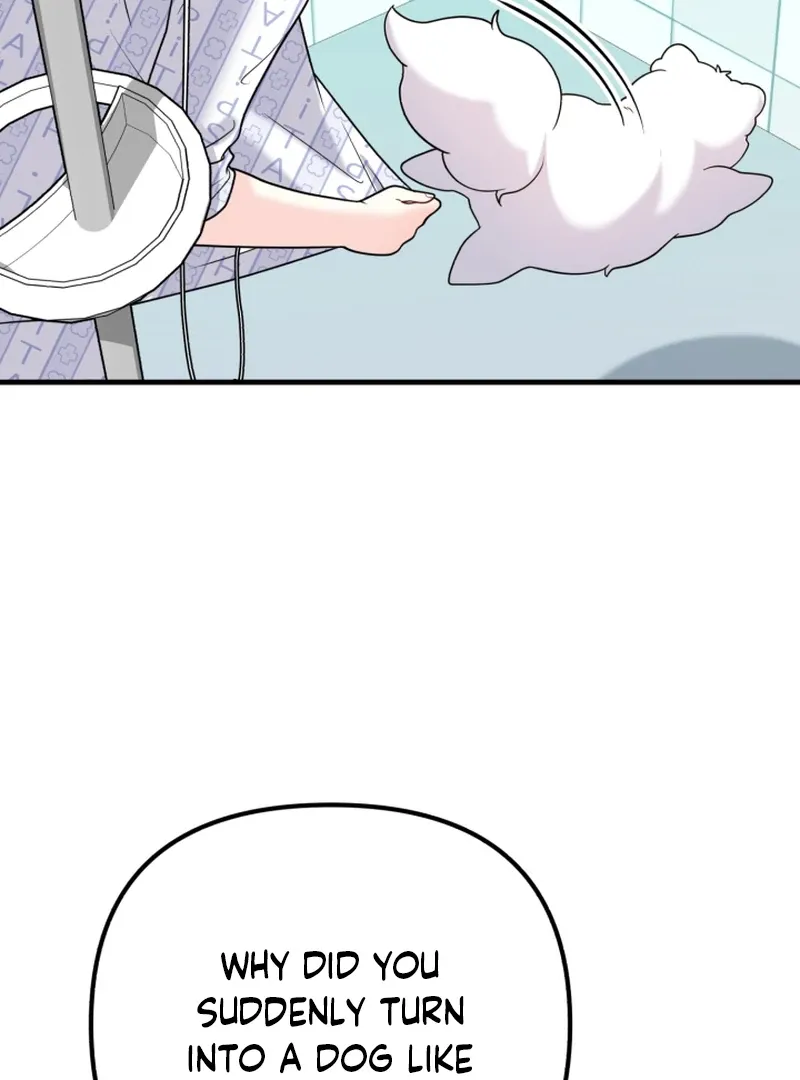 My Masculine Puppy Chapter 43 page 76 - 