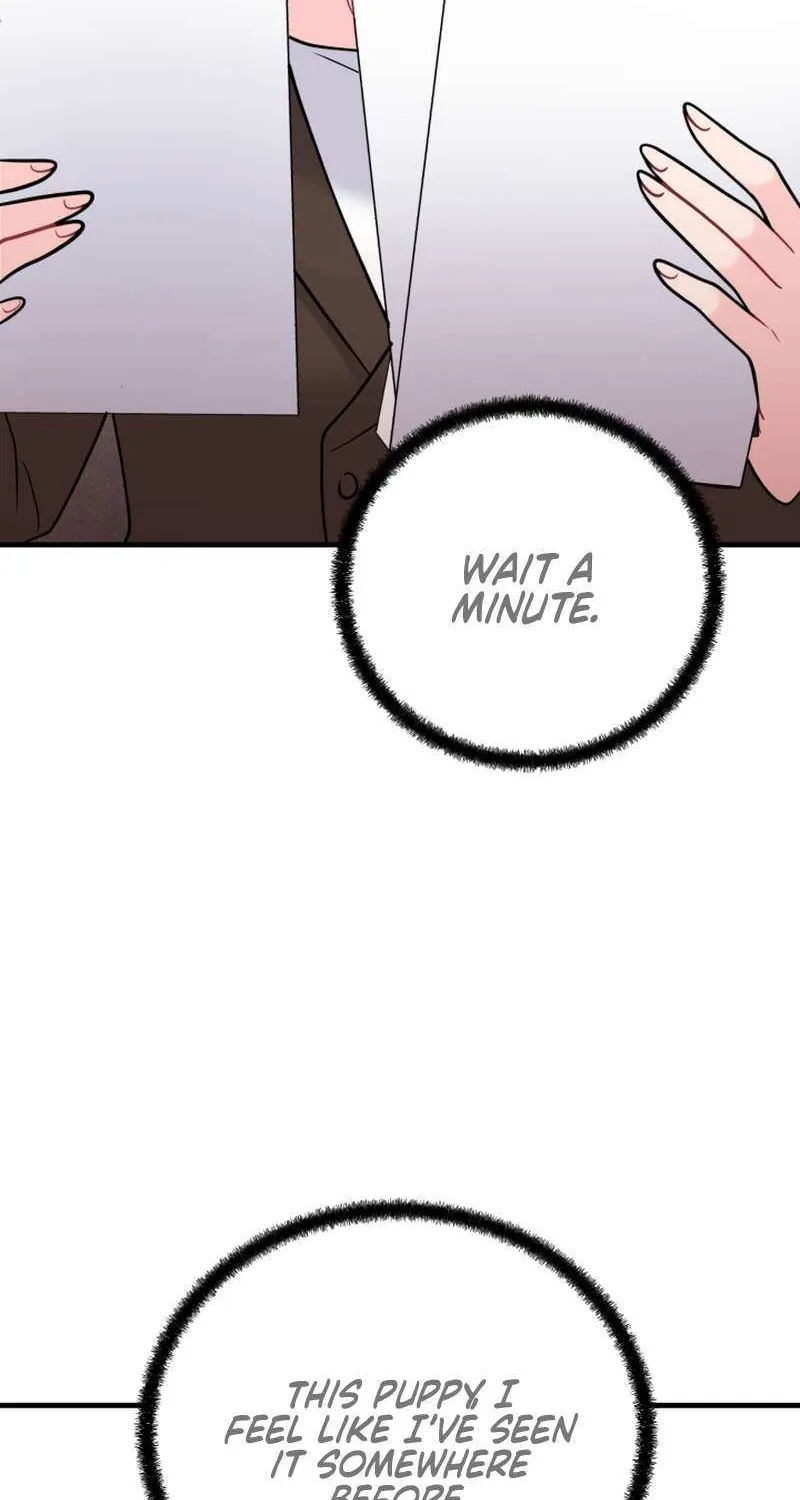 My Masculine Puppy Chapter 46 page 74 - 