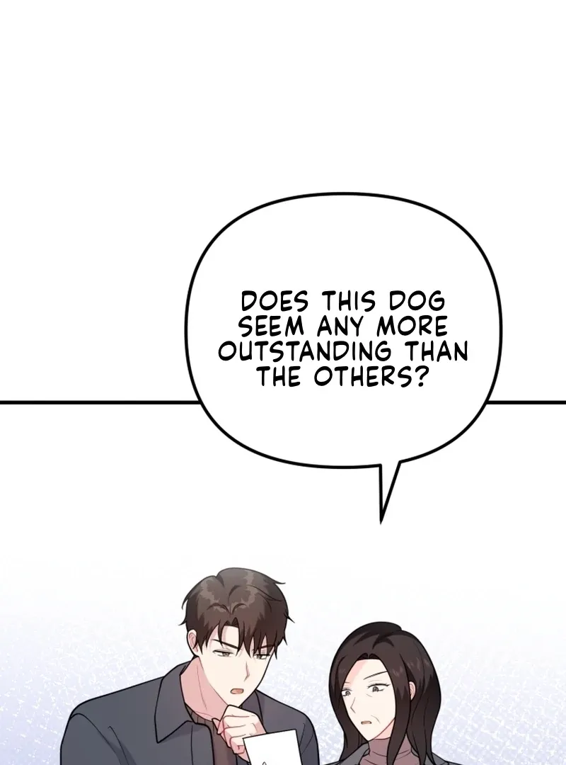 My Masculine Puppy Chapter 47 page 102 - 