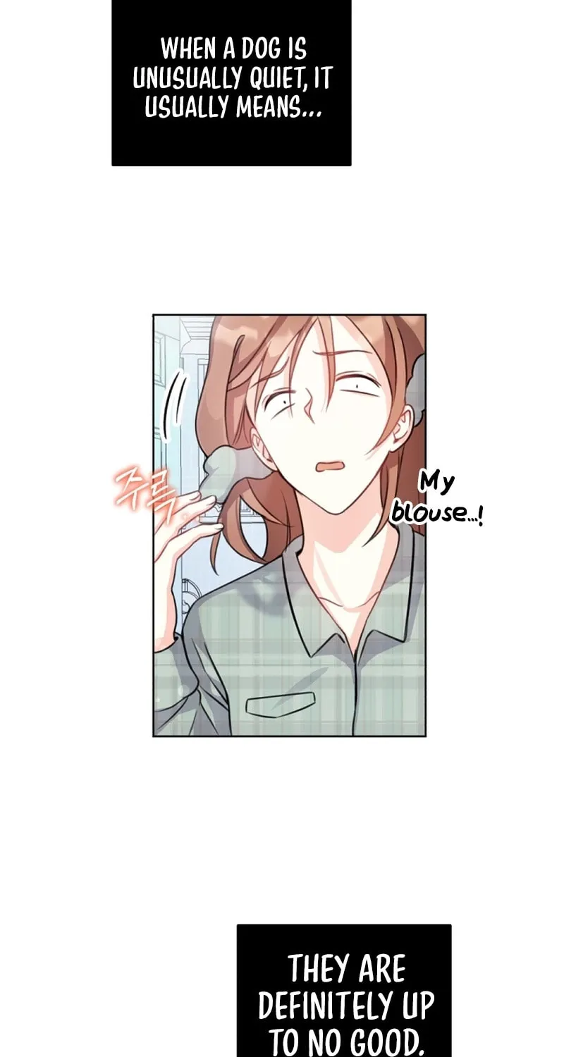 My Masculine Puppy Chapter 5 page 64 - 