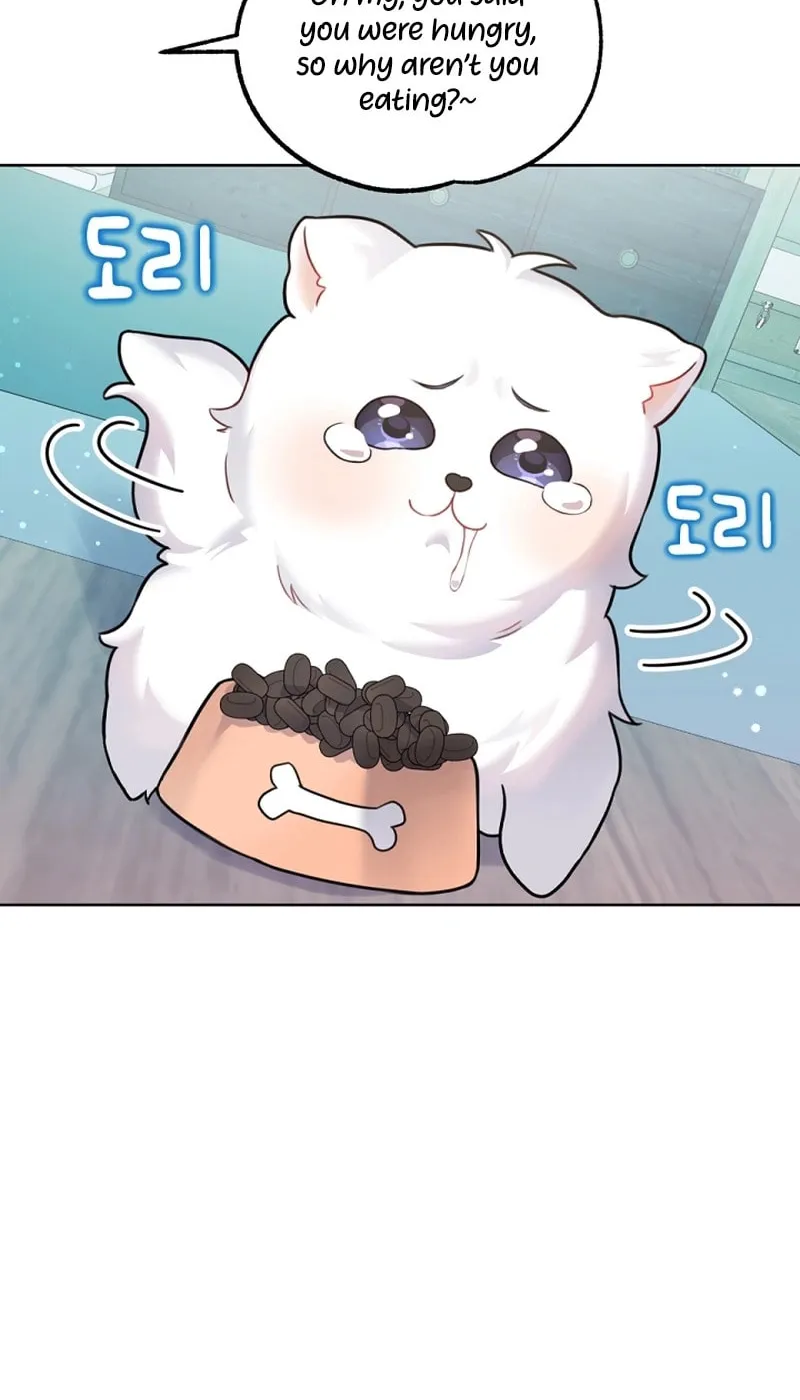 My Masculine Puppy Chapter 7 page 54 - 