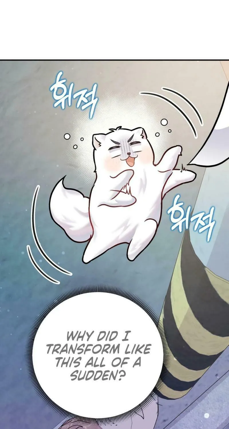 My Masculine Puppy Chapter 9 page 72 - 