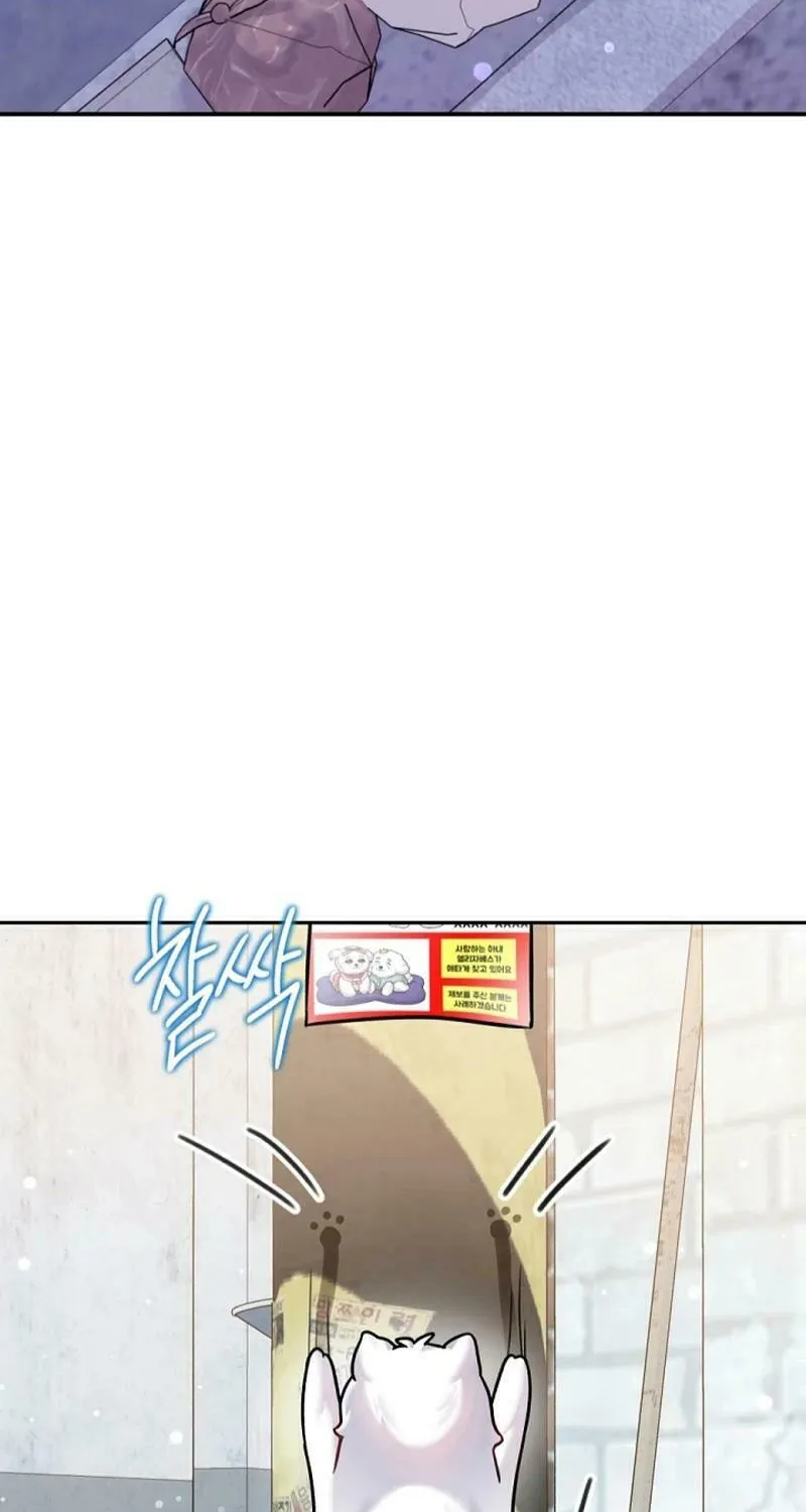 My Masculine Puppy Chapter 9 page 73 - 