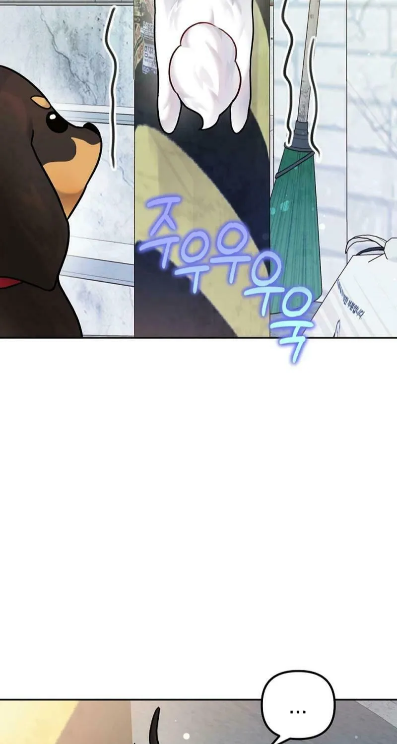 My Masculine Puppy Chapter 9 page 74 - 