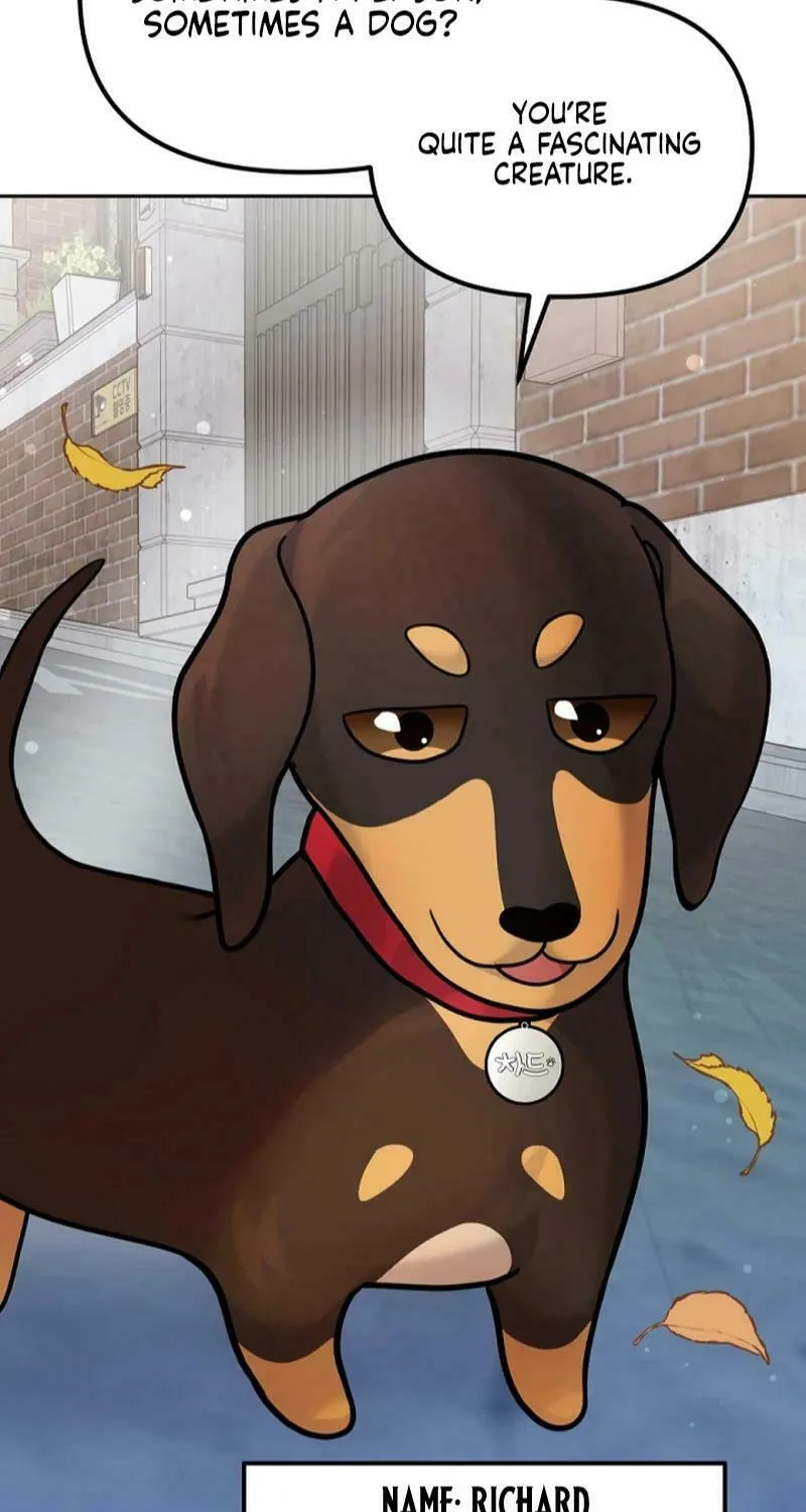 My Masculine Puppy Chapter 9 page 76 - 