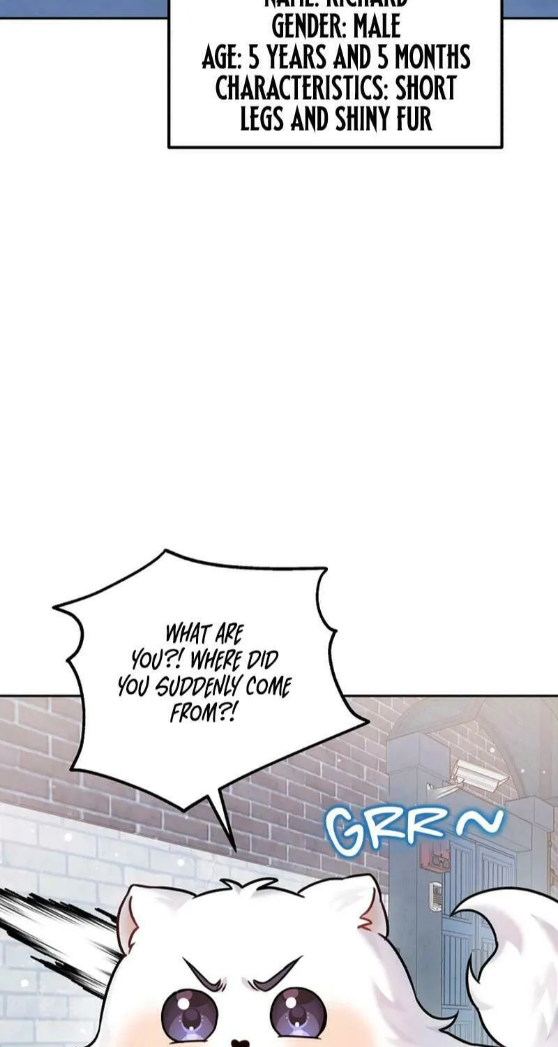 My Masculine Puppy Chapter 9 page 77 - 