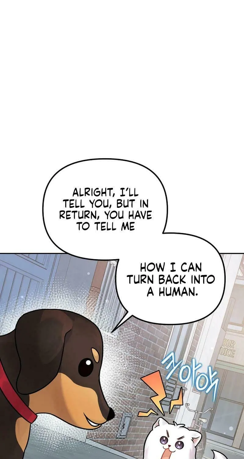 My Masculine Puppy Chapter 9 page 82 - 