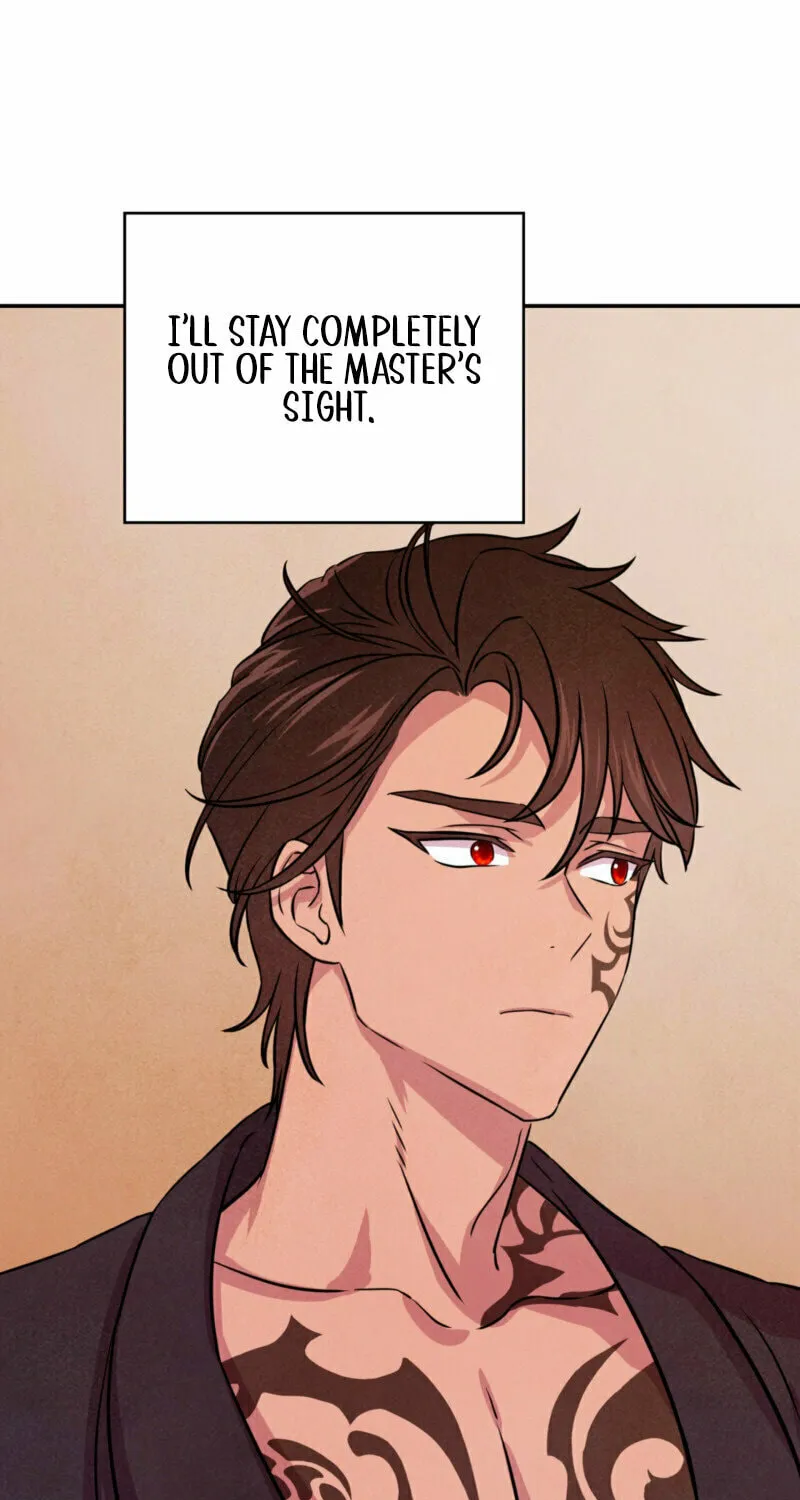 My Master Doesn