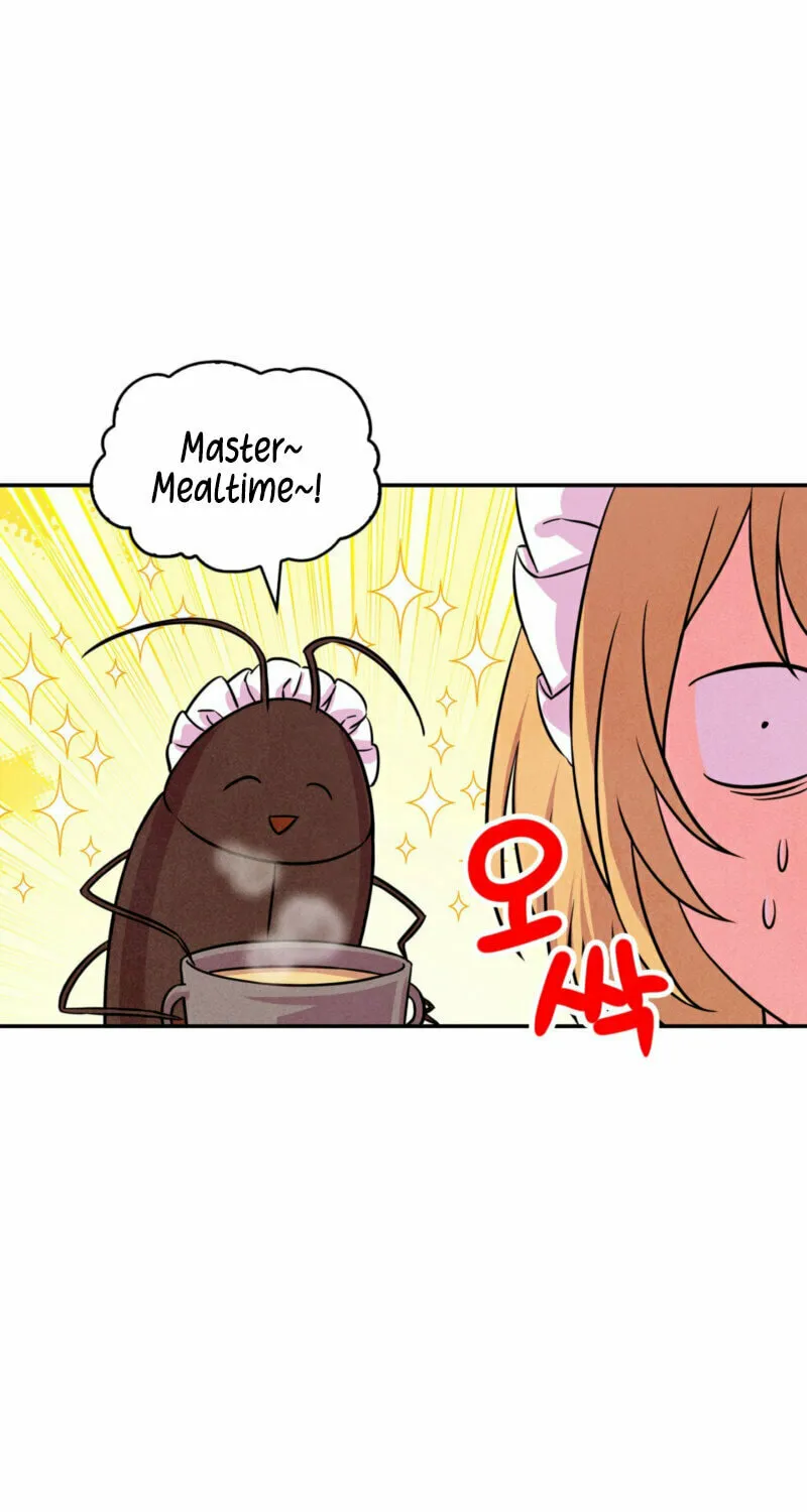 My Master Doesn