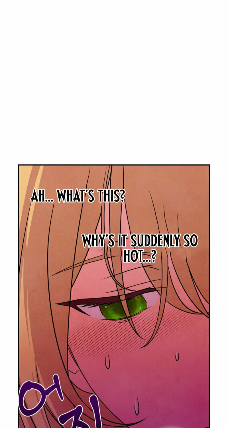My Master Doesn