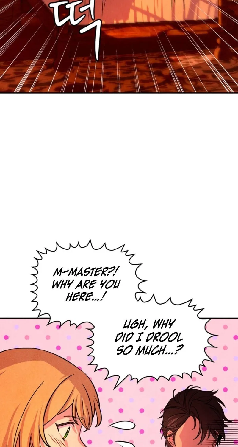 My Master Doesn